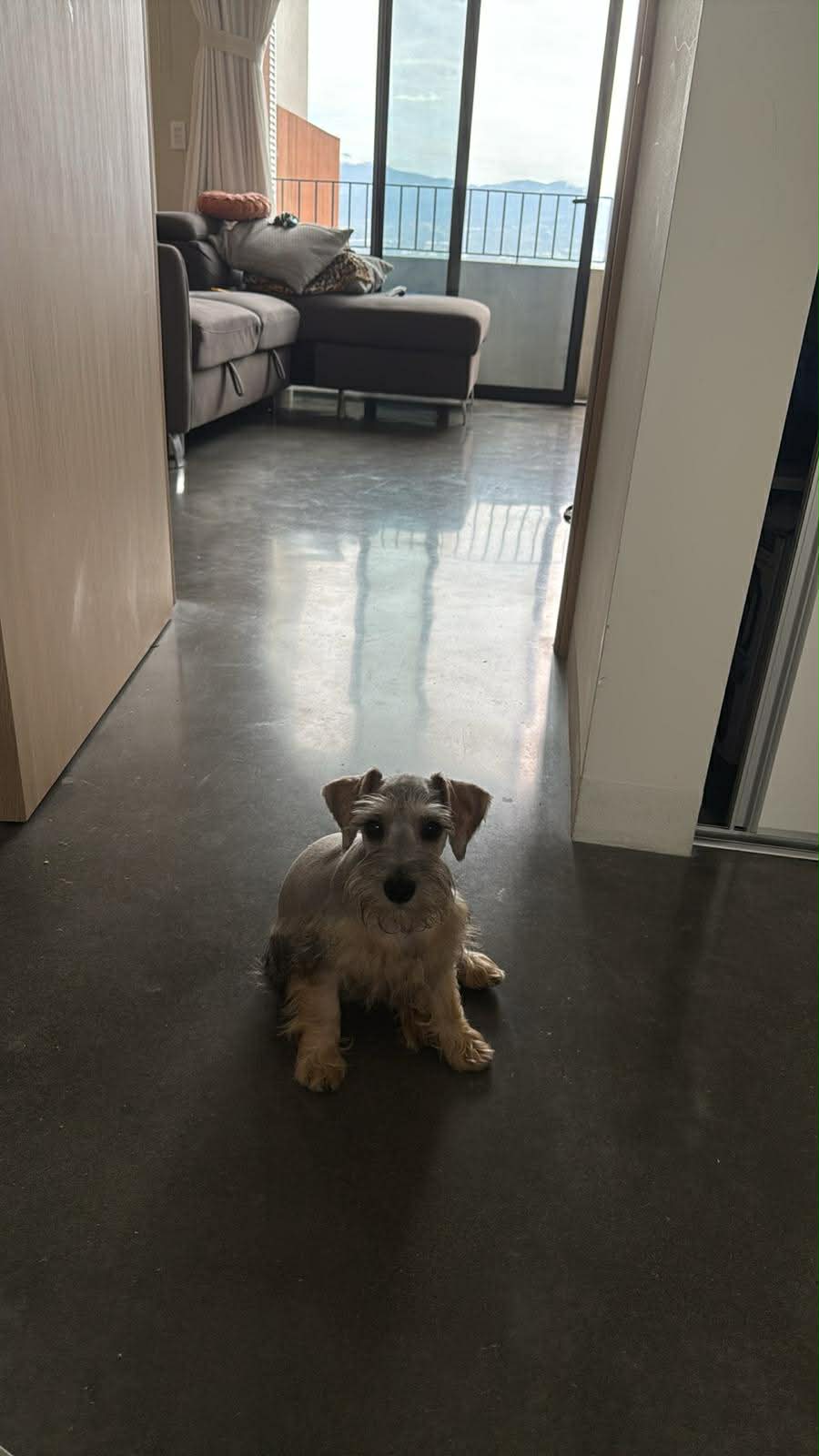 Tobby cuando era bebé