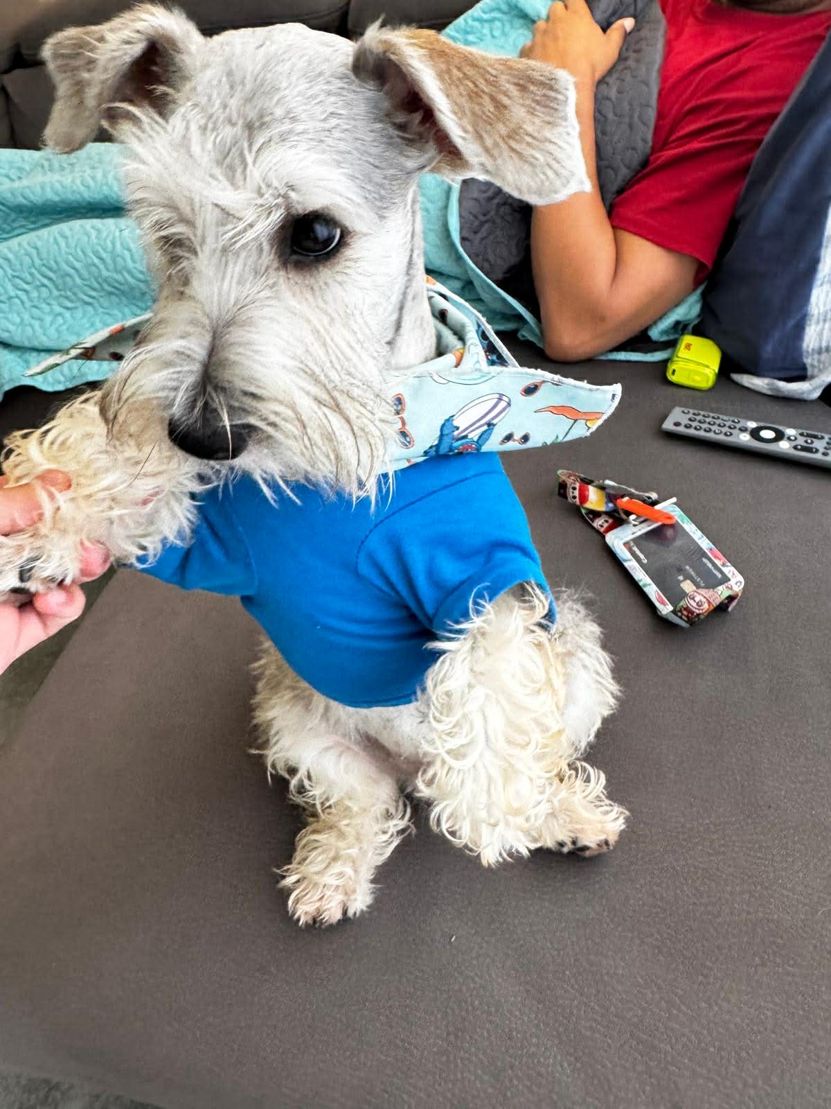 Tobby look casual urbano