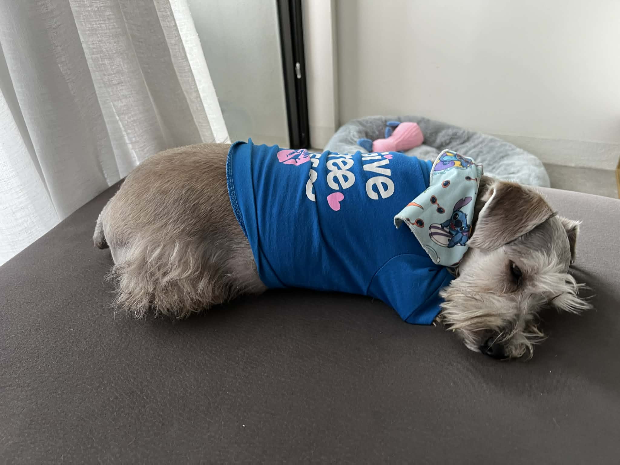 Tobby outfit fresco de verano